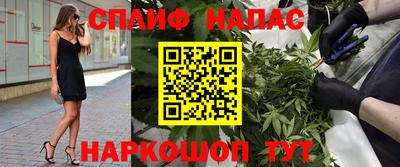 СК Лесосибирск