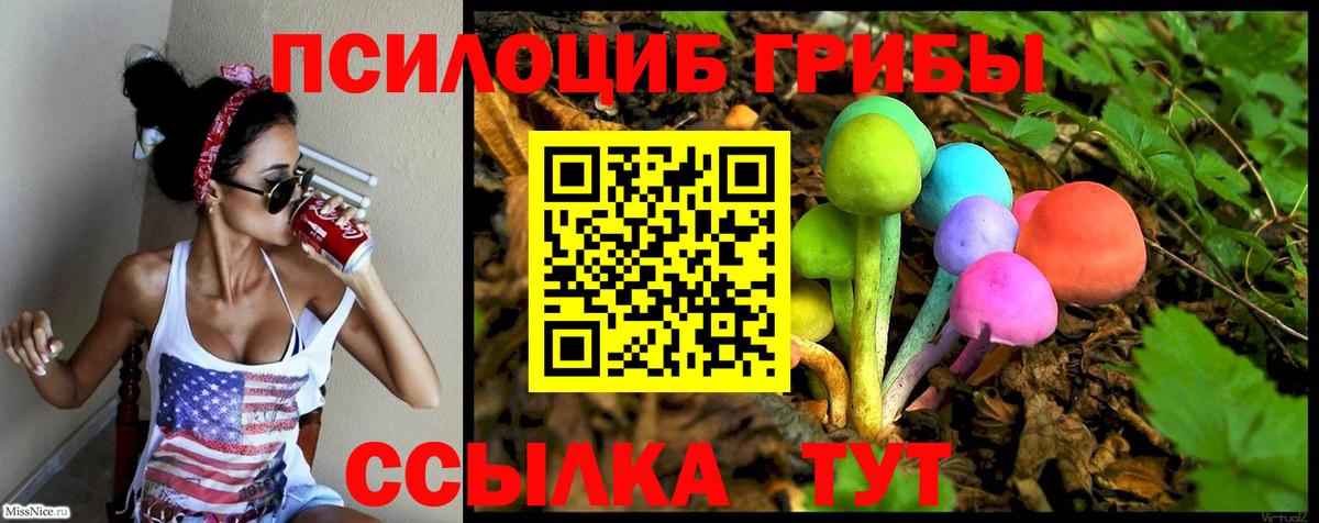 Химки  Галлюциногенные грибы Psilocybine cubensis  Вход с VPN 