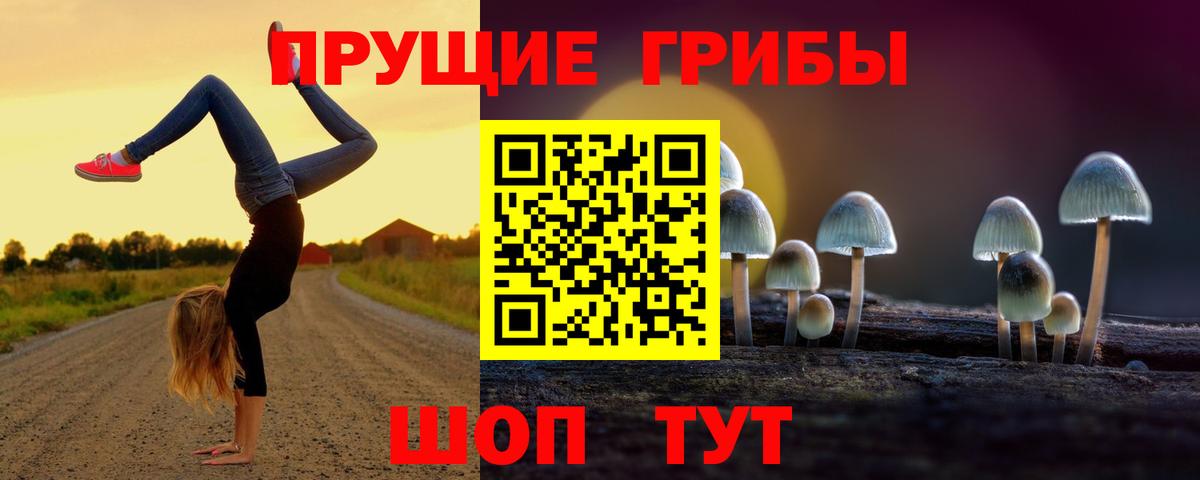 Галлюциногенные грибы Psilocybe Химки