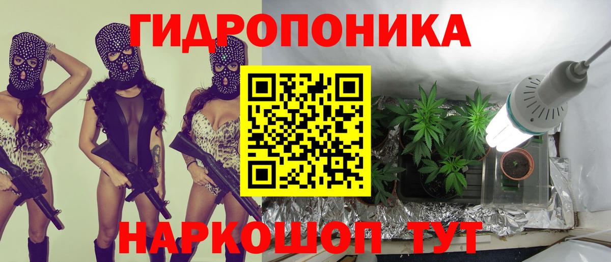 Бошки Шишки Amnesia Химки